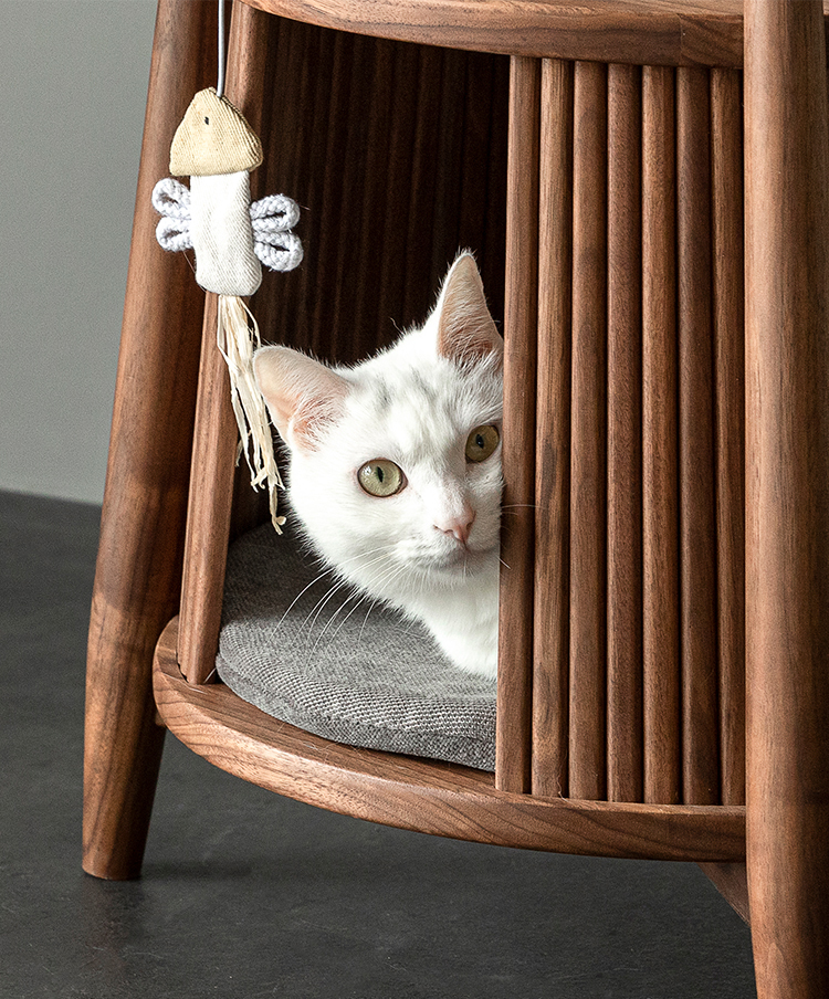 ホームルーム内の猫舎ト ホームルーム内の猫舎ト